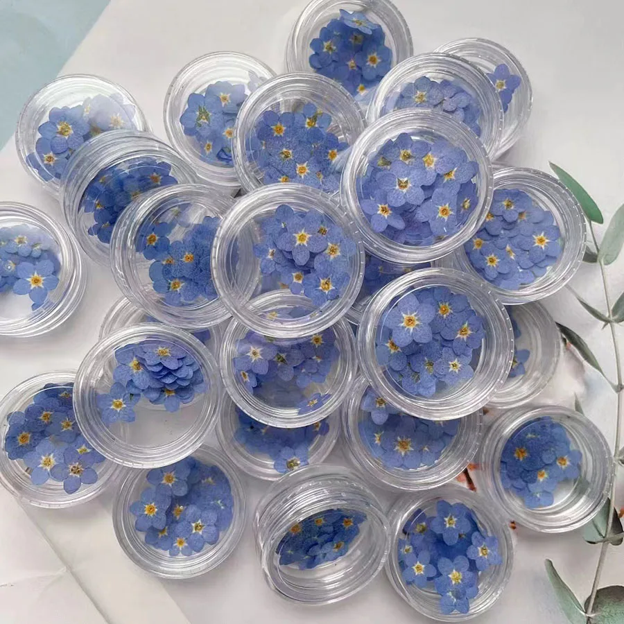 100pcs Pressed Dried Mini Blue - Dried Flower Bookmark review and price