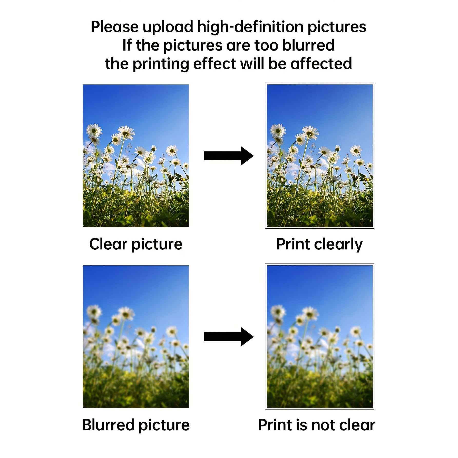 Custom Poster Printing Persona - Pet Portrait Custom review and price