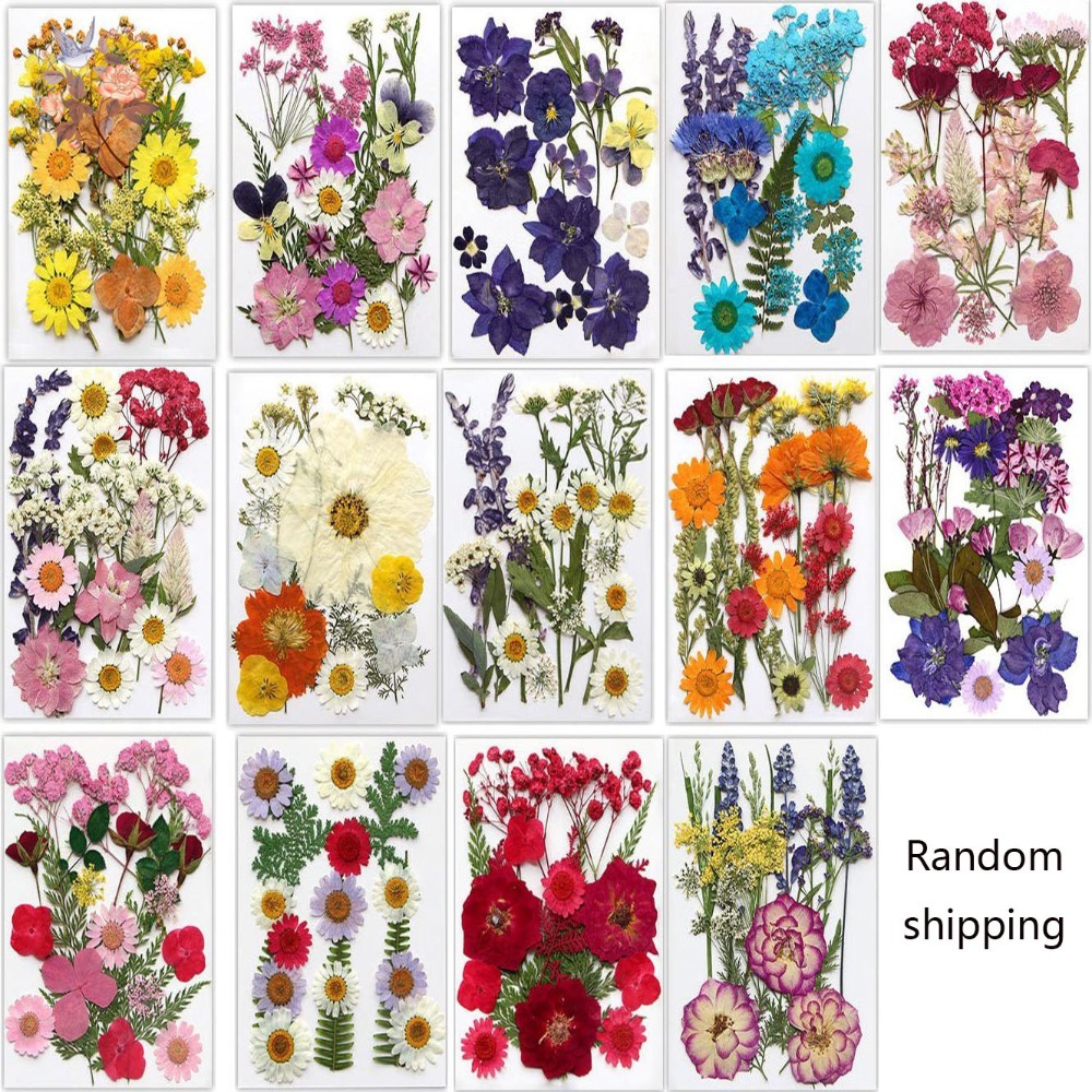 Handmade Pressed Dried Flowers - Dried Flower Bookmark review and price