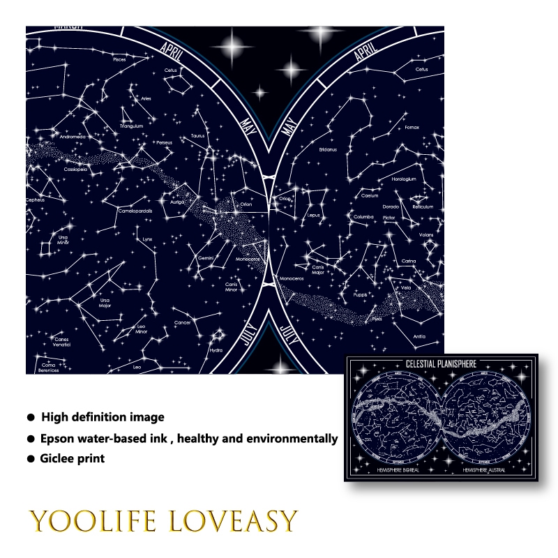 Celestial Planisphere Map Canv - Custom Star Map review and price